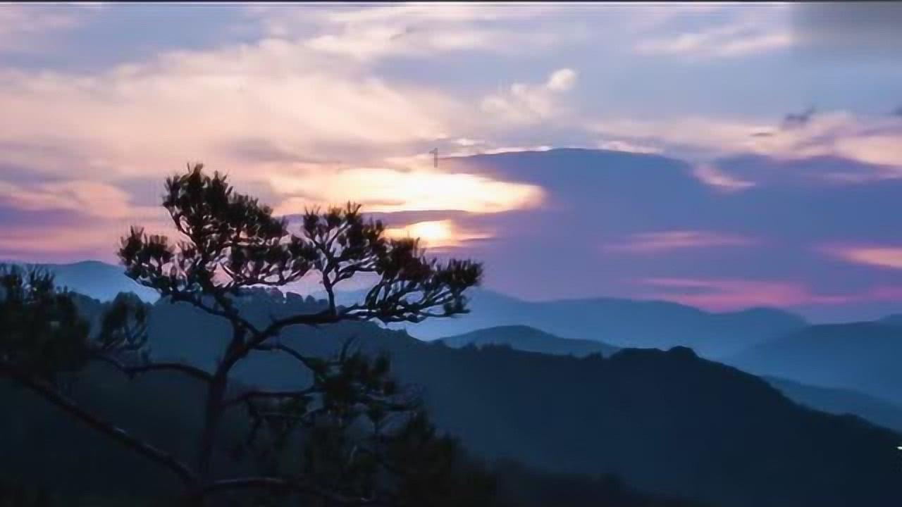 害怕恐惧症